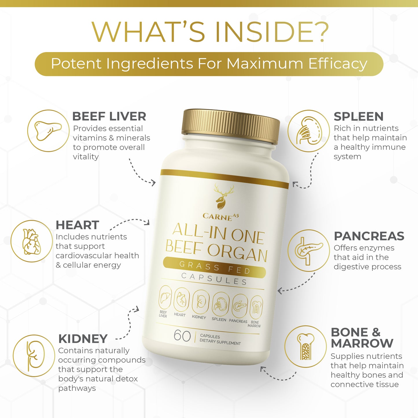 All-In-One Beef Organ Capsules